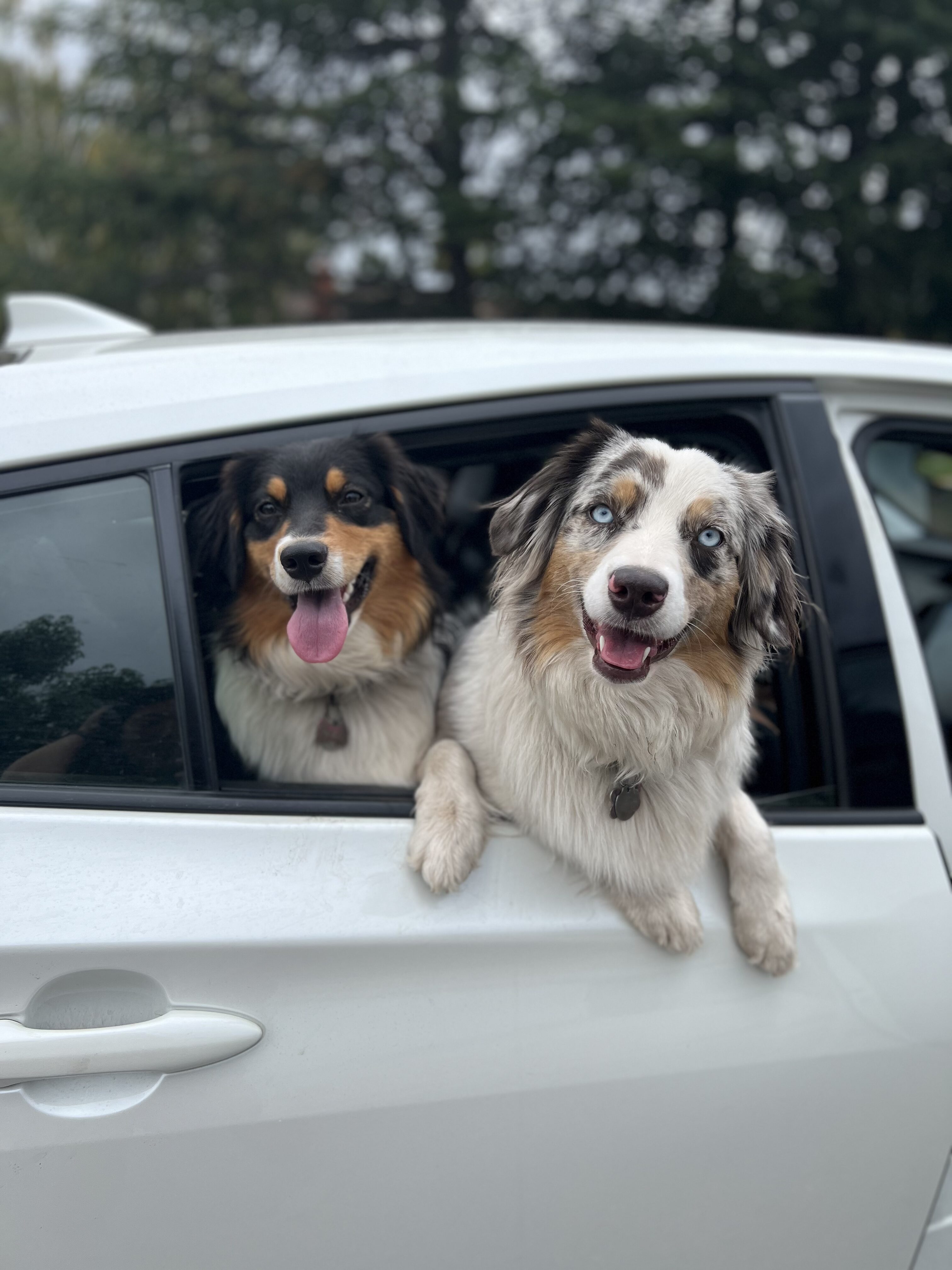 Joyce & Grace in car